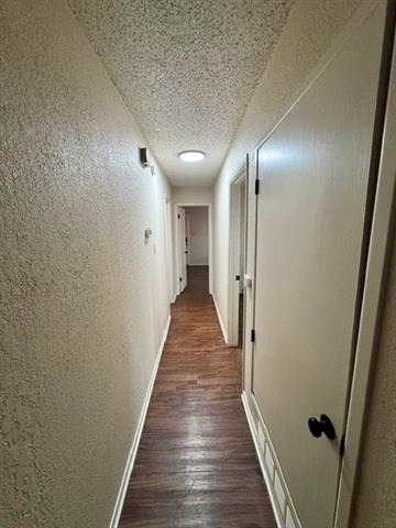985 Minter Lane - Photo 6