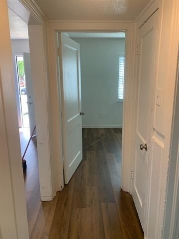 517 Hawthorne Street - Photo 6