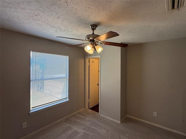 4250 Wiley College Drive - Photo 16