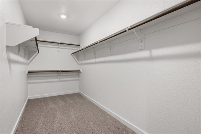 8304 Silverbow Drive - Photo 8