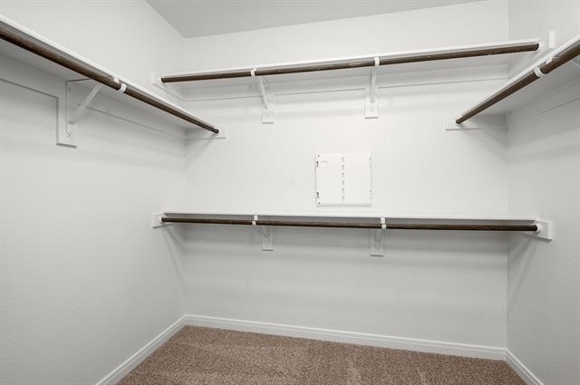 8316 White Wolf Trail - Photo 8