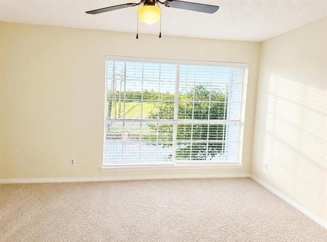 12921 Abrams Road - Photo 4