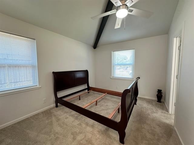509 Dover Drive - Photo 24