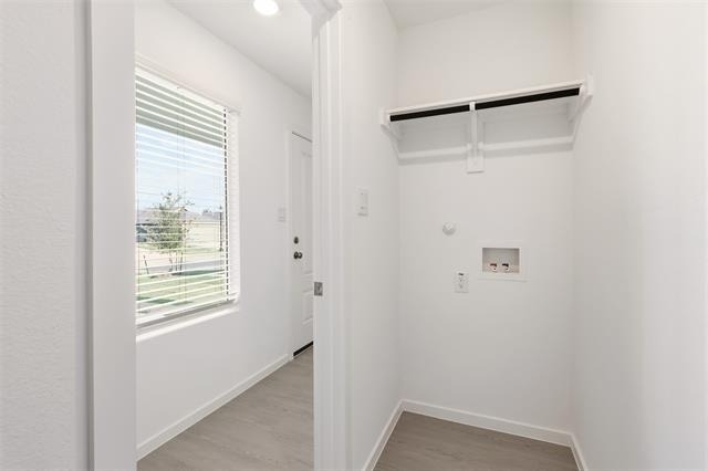3145 Campeiro Avenue - Photo 1