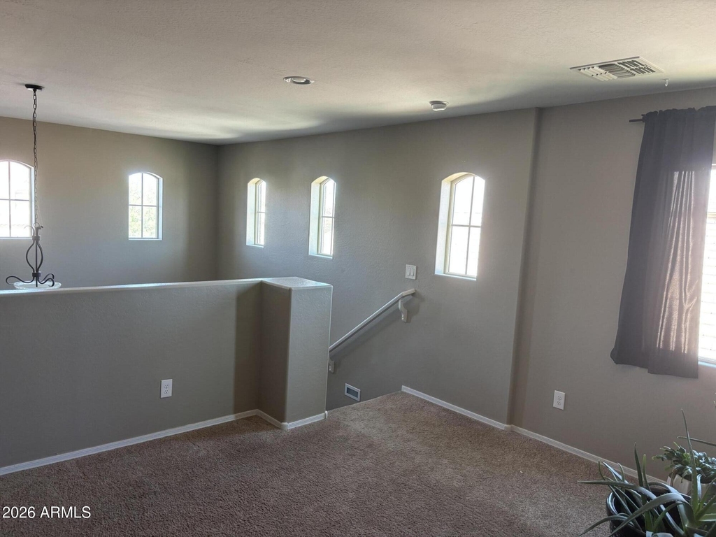 28311 N Cactus Flower Circle - Photo 12