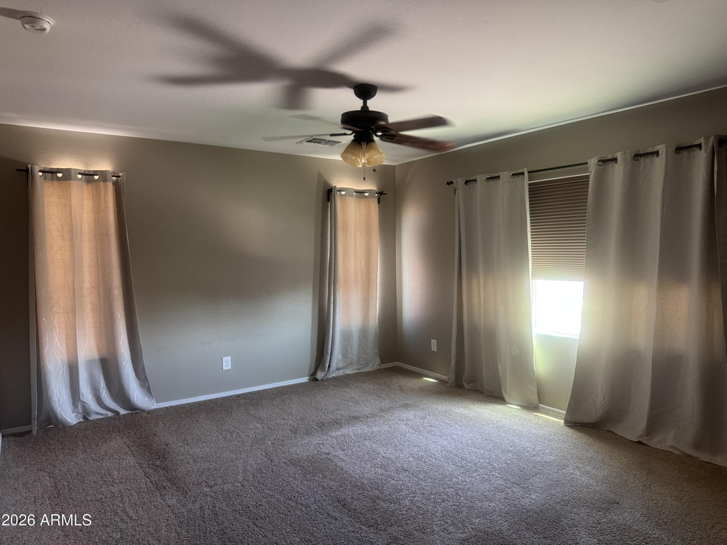 28311 N Cactus Flower Circle - Photo 23
