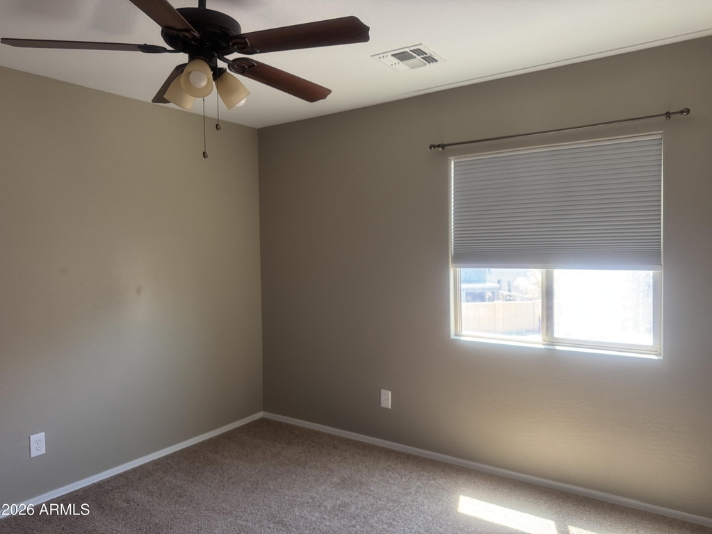 28311 N Cactus Flower Circle - Photo 28