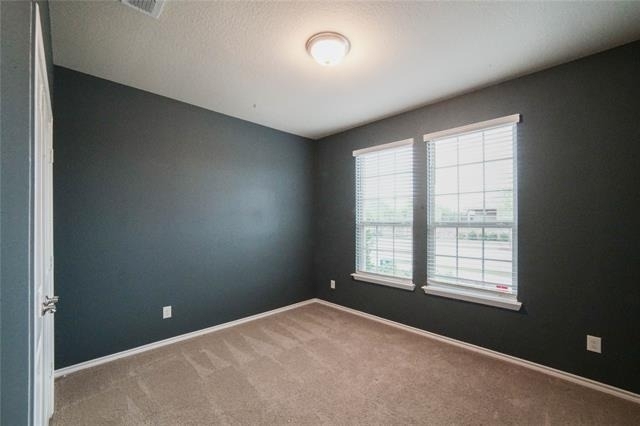 4004 Stone Trail Drive - Photo 16