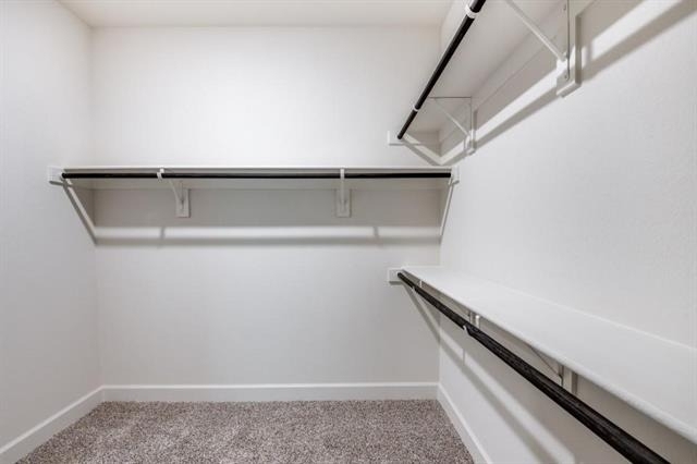 1009 Calhoun Drive - Photo 20