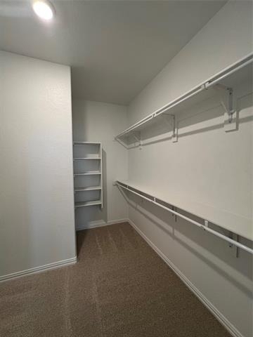 3033 Burwick Lane - Photo 10