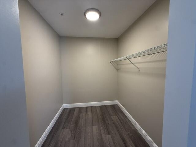4393 Windsor Avenue - Photo 10