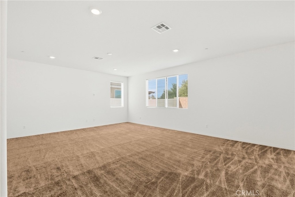 27215 Lost Palm - Photo 20
