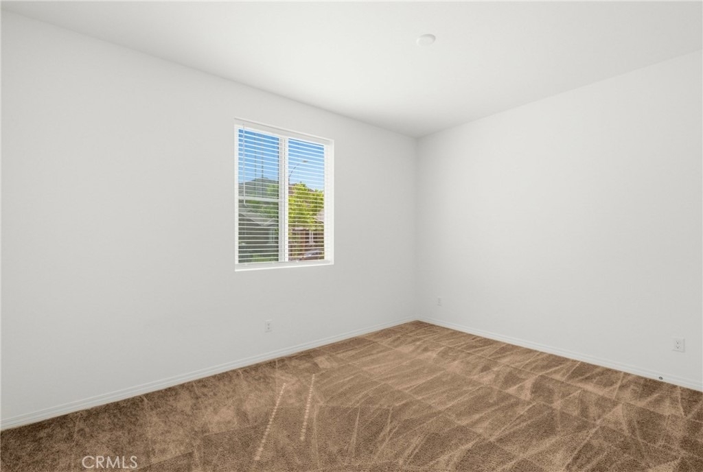 27215 Lost Palm - Photo 49