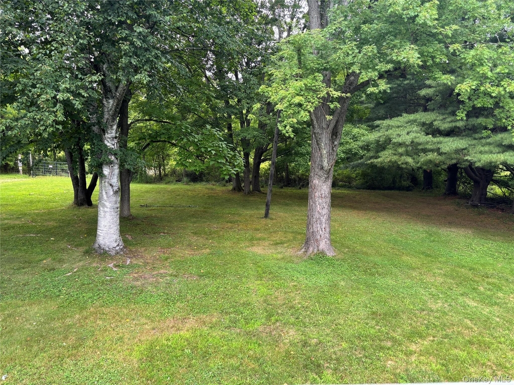 239 Vineyard Avenue - Photo 1