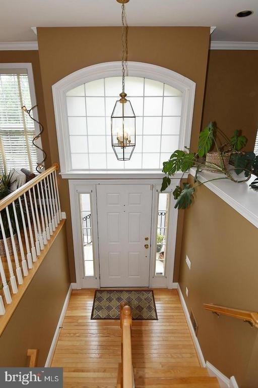 4281 Kearny Lane - Photo 1