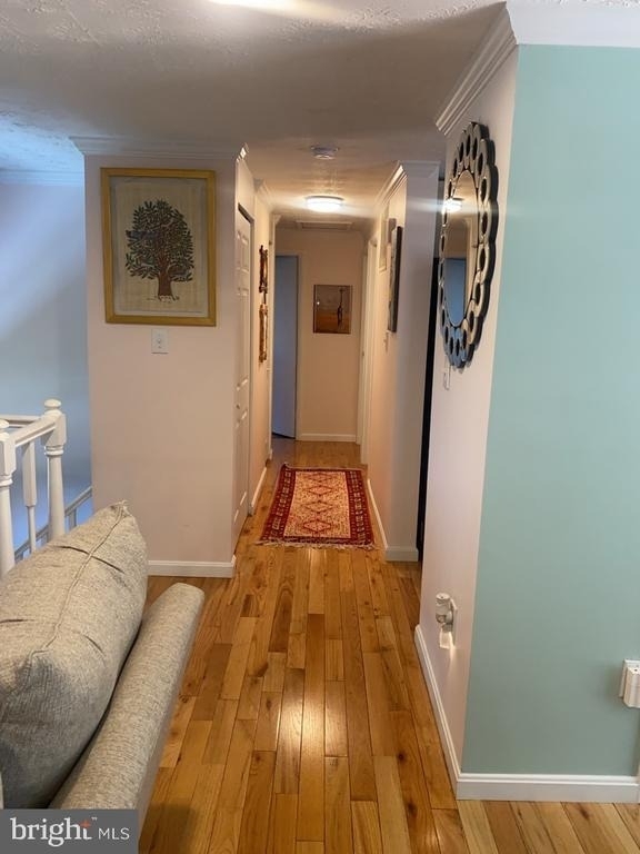 10500 Mcguire Way - Photo 11