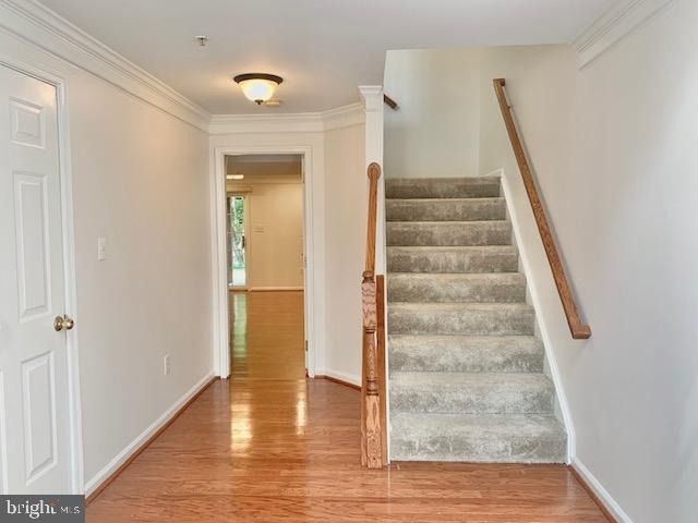 18122 Truffle Lane - Photo 3