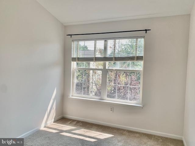 18122 Truffle Lane - Photo 35