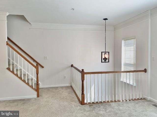 18122 Truffle Lane - Photo 13