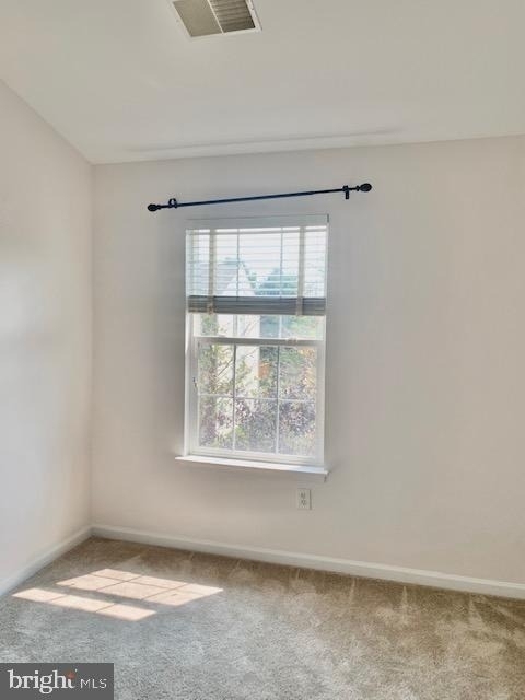 18122 Truffle Lane - Photo 33