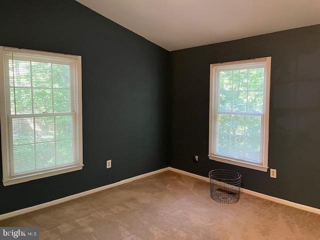 1117 Wildpark Avenue - Photo 13
