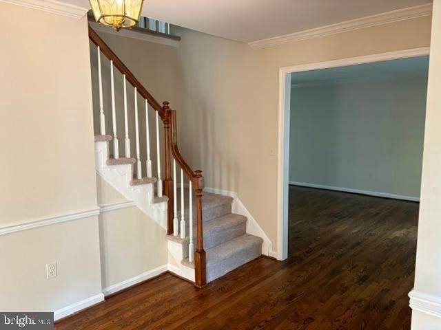 12617 Falconbridge Drive - Photo 3