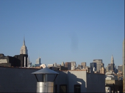 Avenue B - Photo 8