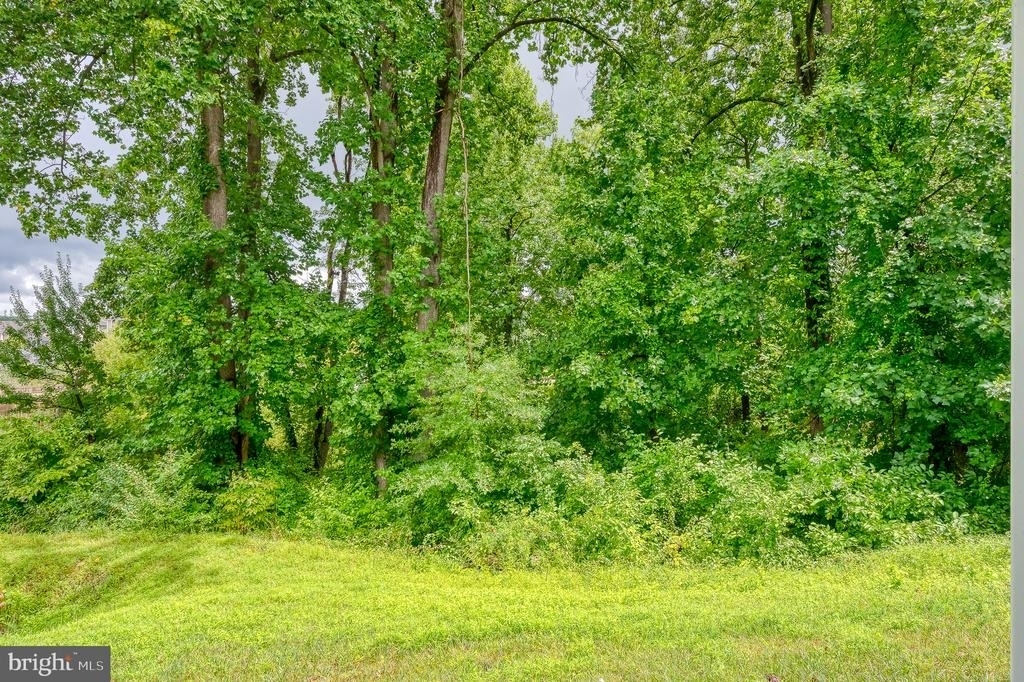 8607 Enoch Pratt Drive - Photo 43