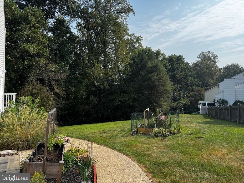 8268 Rippling Branch Road - Photo 20