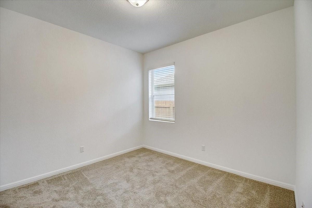 117 Lacey Oak Loop - Photo 30