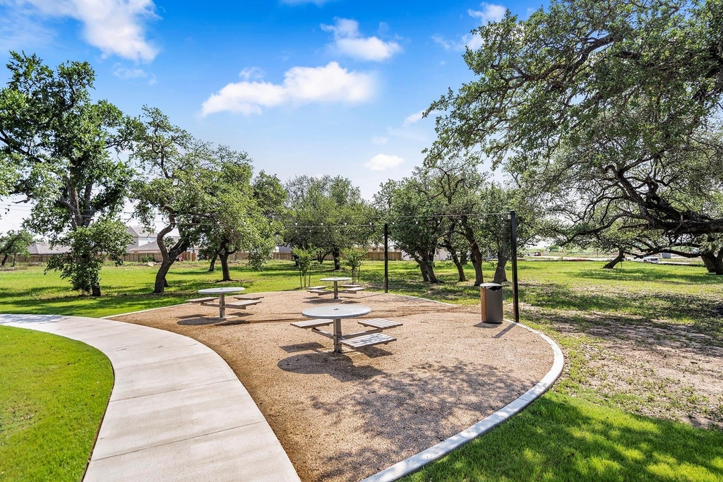 201 Paradise Canyon Dr - Photo 10