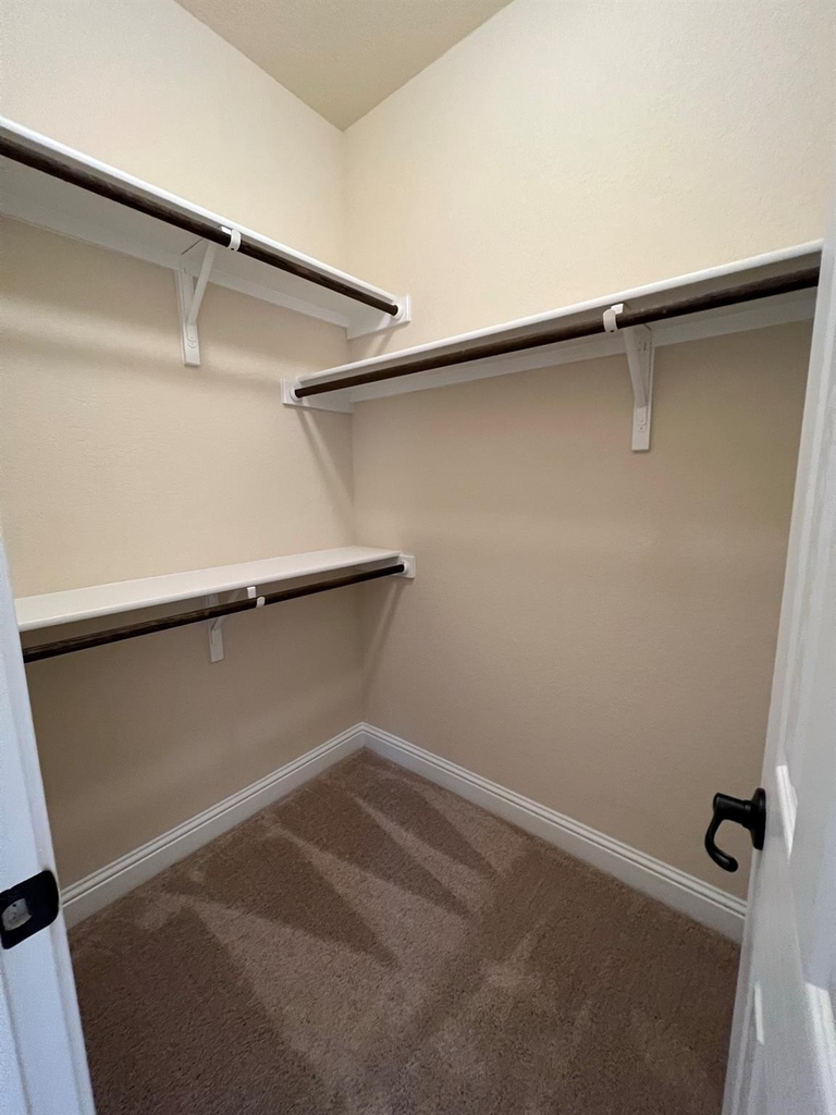 704 Falkland Trce - Photo 12