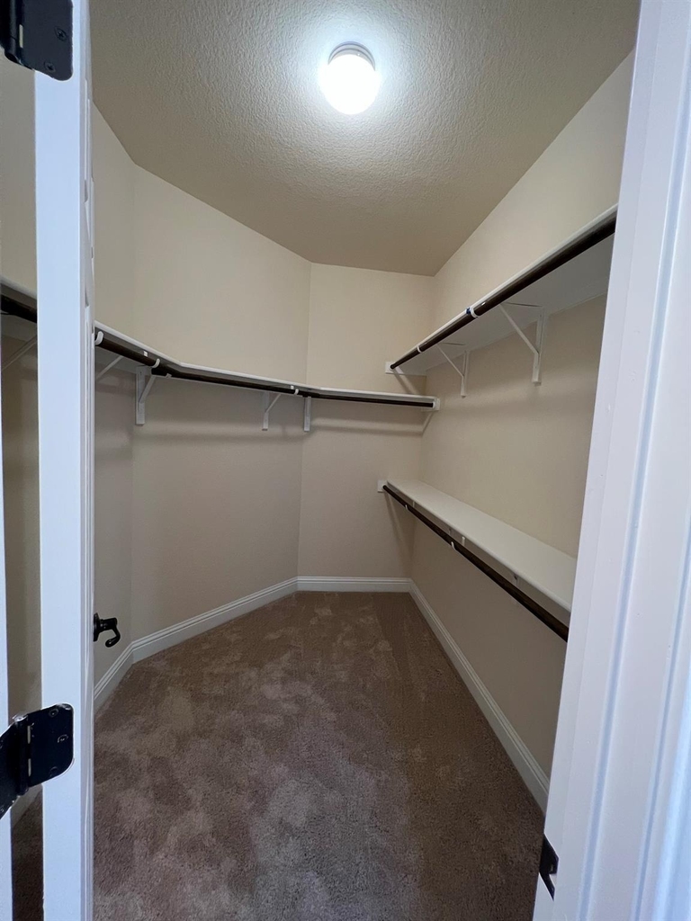 704 Falkland Trce - Photo 10