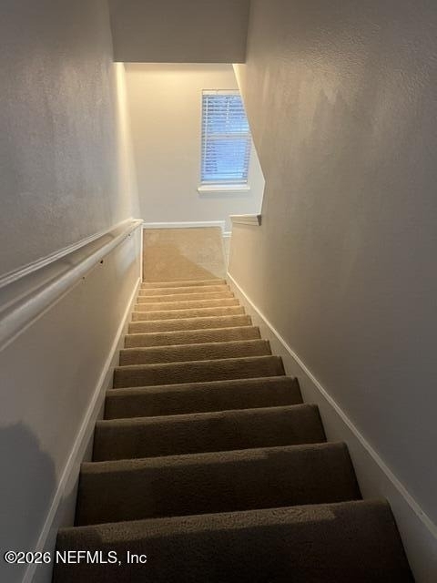 824 Black Cherry Drive S - Photo 13
