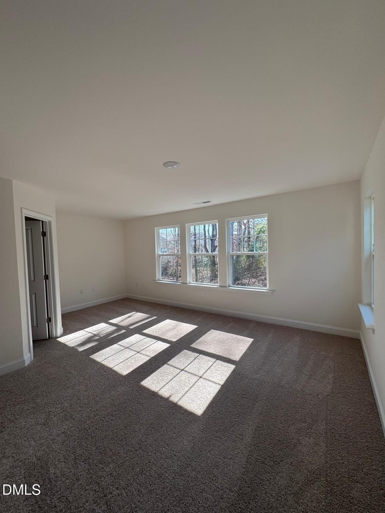 6320 Lady Eliza Lane - Photo 16