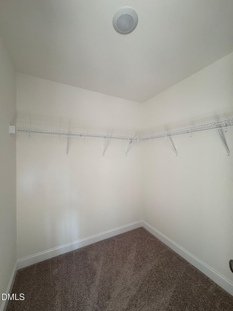6320 Lady Eliza Lane - Photo 18