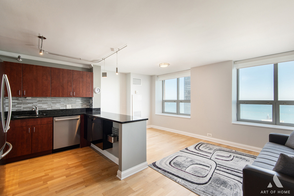 474 N Lake Shore Drive - Photo 12