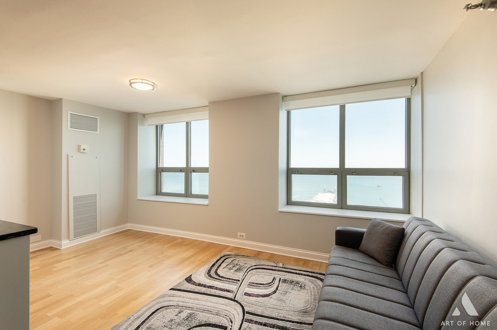474 N Lake Shore Drive - Photo 15