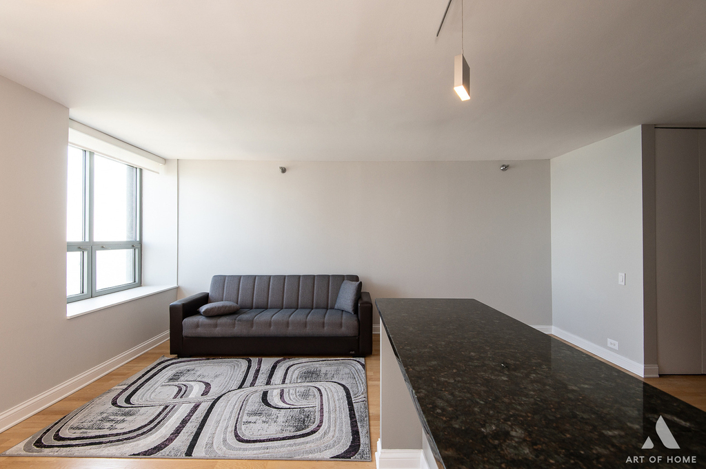 474 N Lake Shore Drive - Photo 7