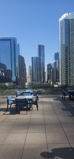 474 N Lake Shore Drive - Photo 22