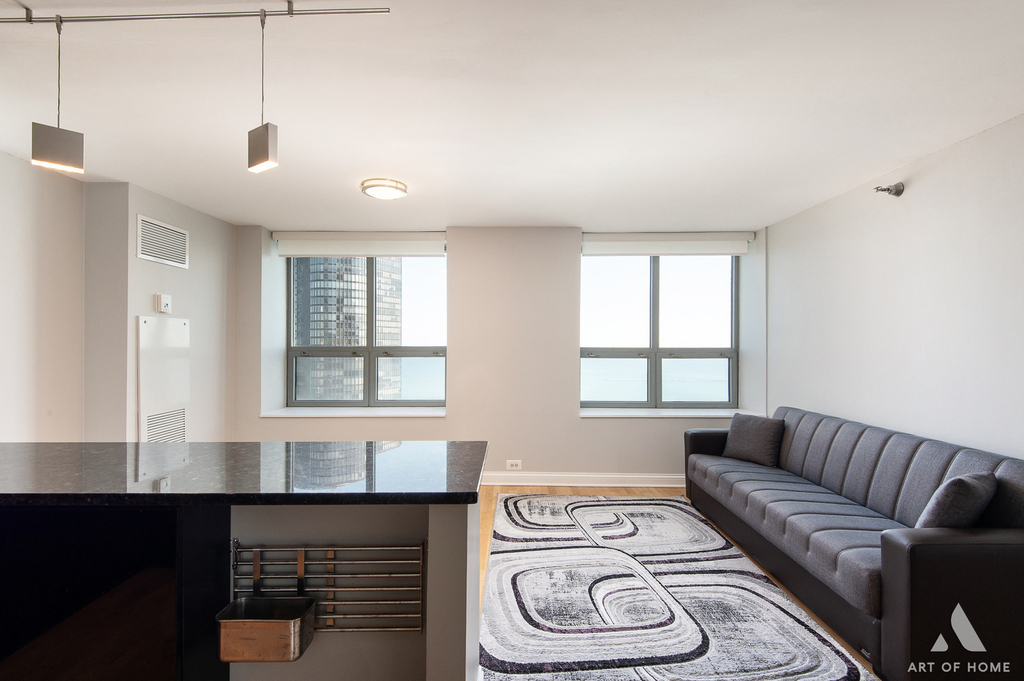 474 N Lake Shore Drive - Photo 16