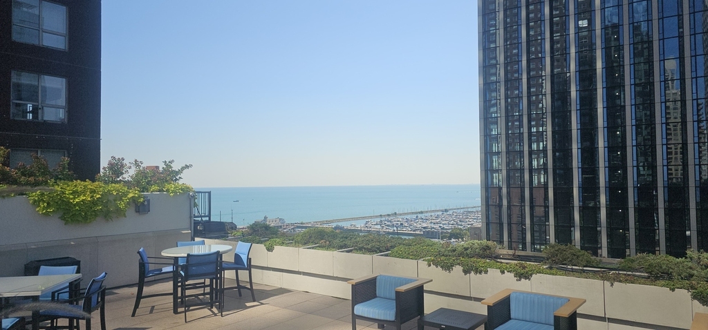 474 N Lake Shore Drive - Photo 25