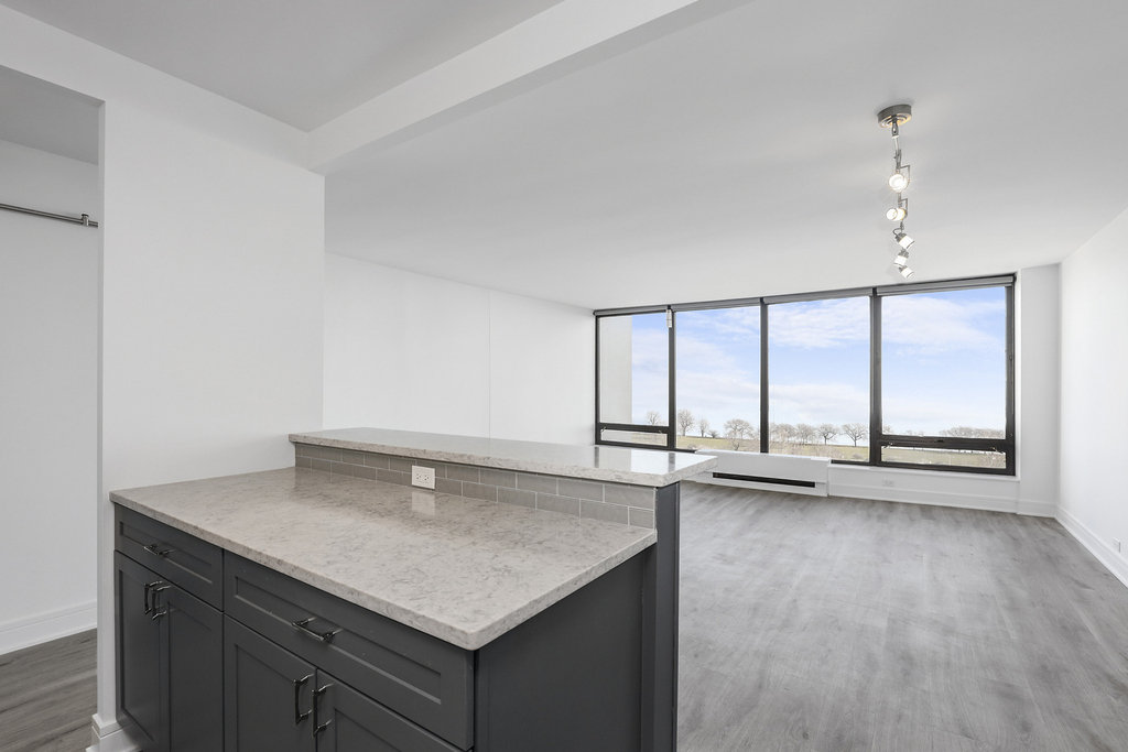 5445 N Sheridan Road - Photo 8