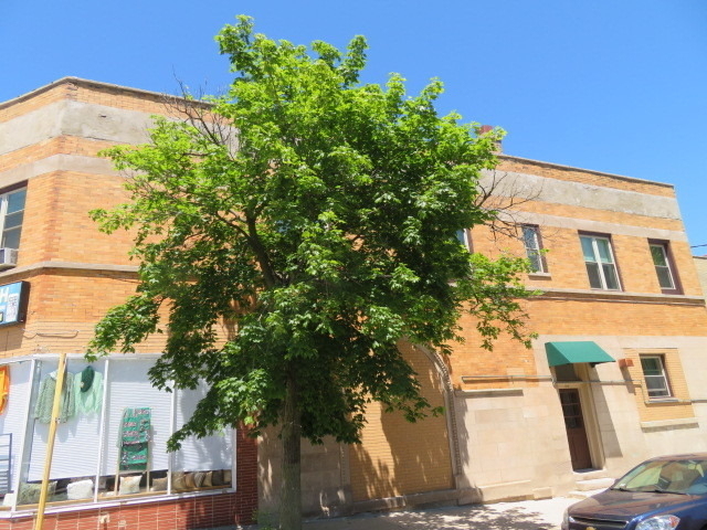 1552 W Highland Avenue - Photo 0