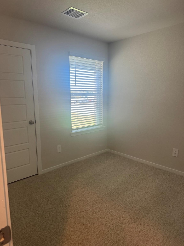 29119 Samuel Garden Court - Photo 6