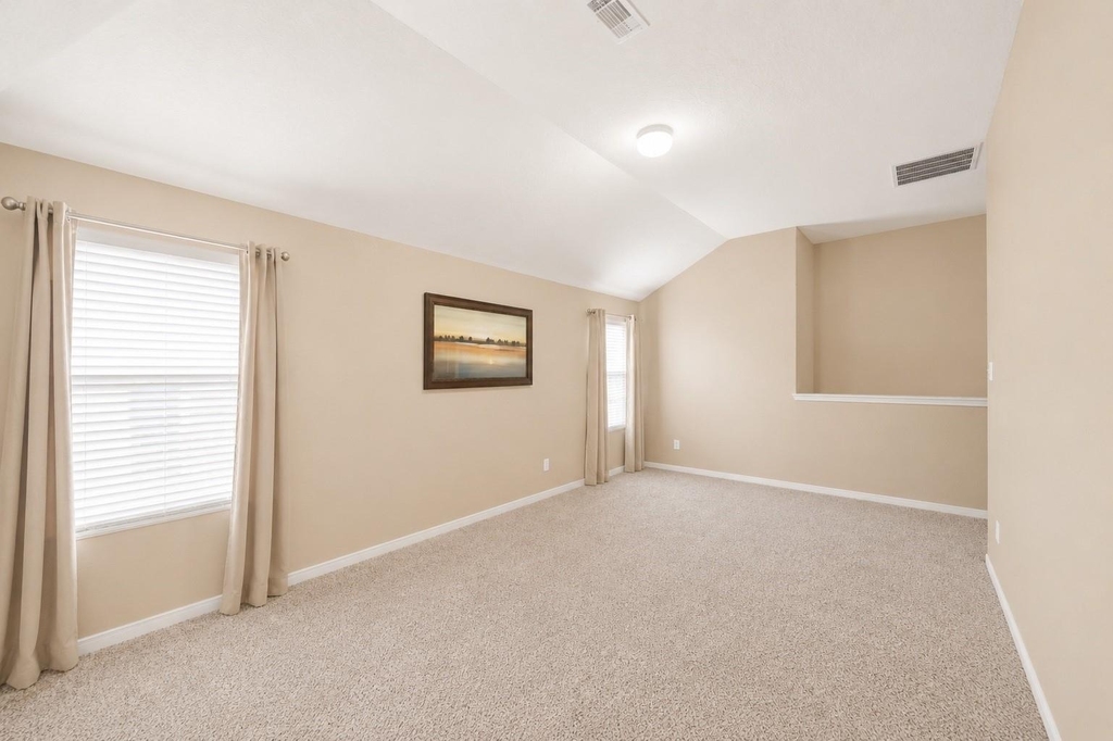 14822 Juniper Dale Court - Photo 19