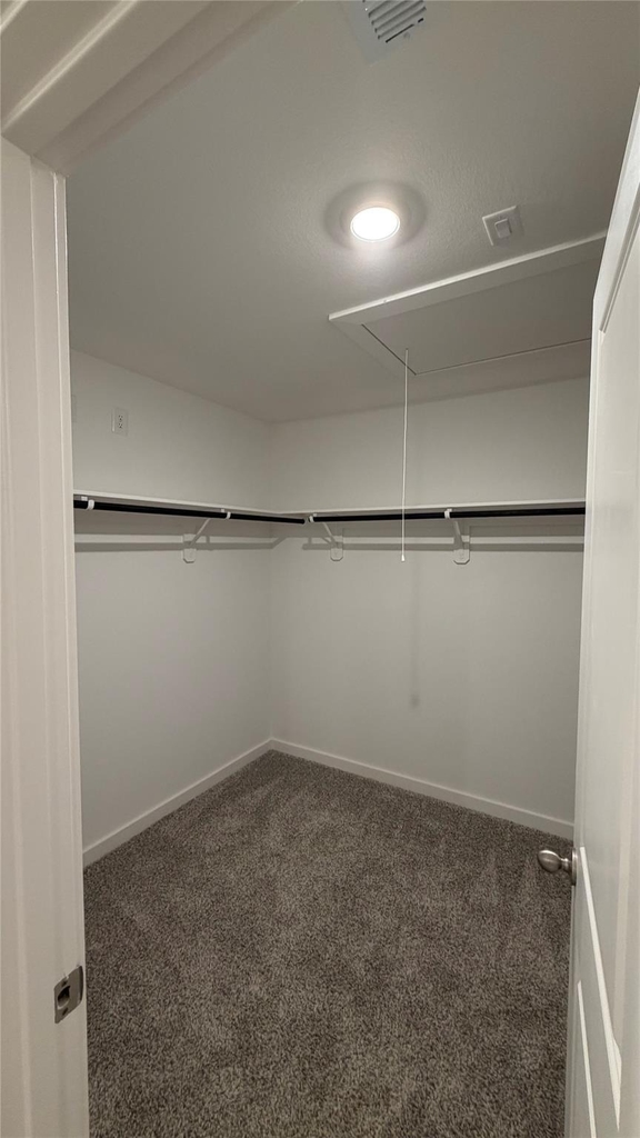 6332 Amberose Peak Lane - Photo 19