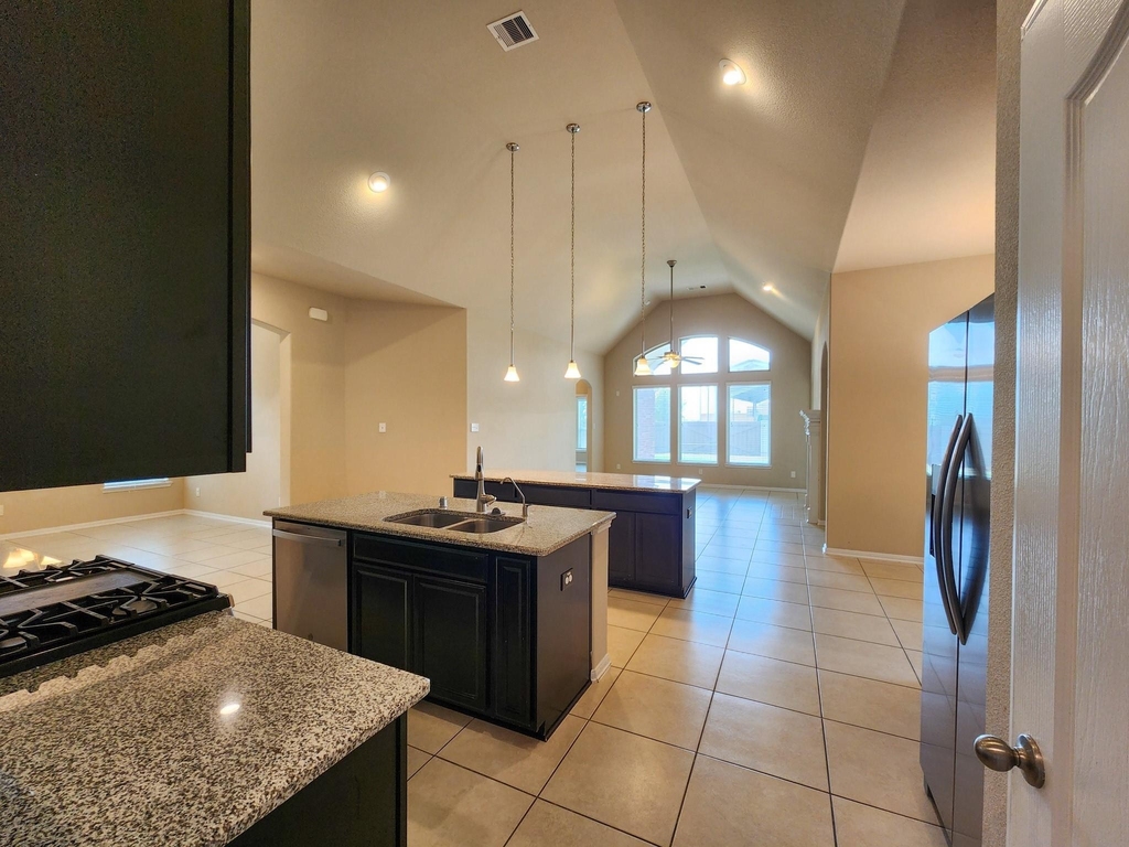 911 Daffodil View Court - Photo 22