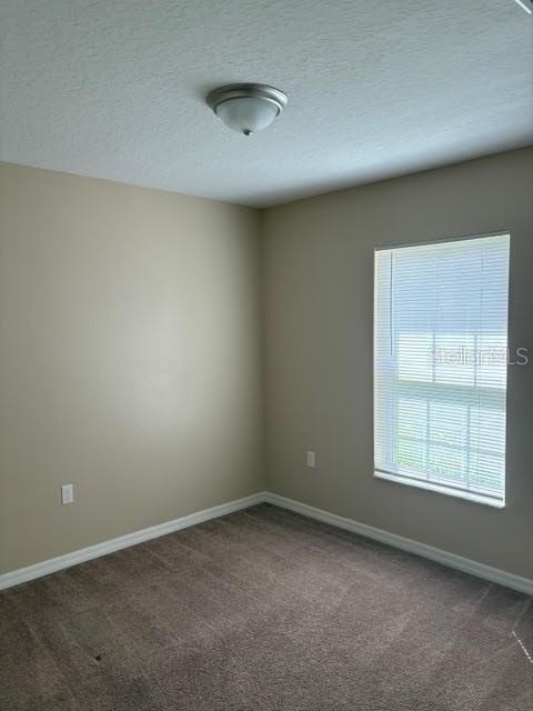 113 Brunswick Lane - Photo 10
