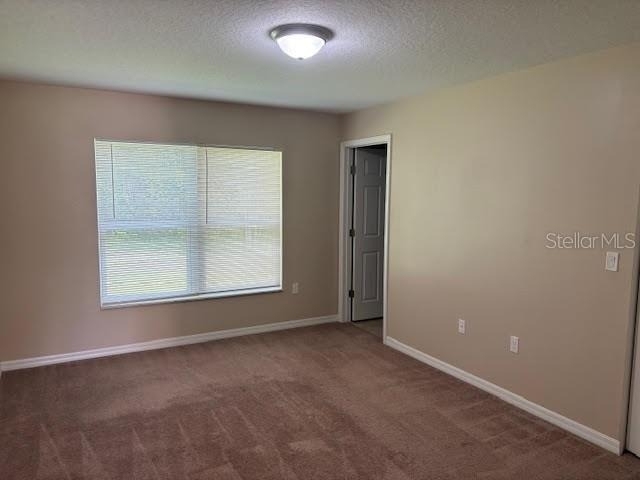 113 Brunswick Lane - Photo 6